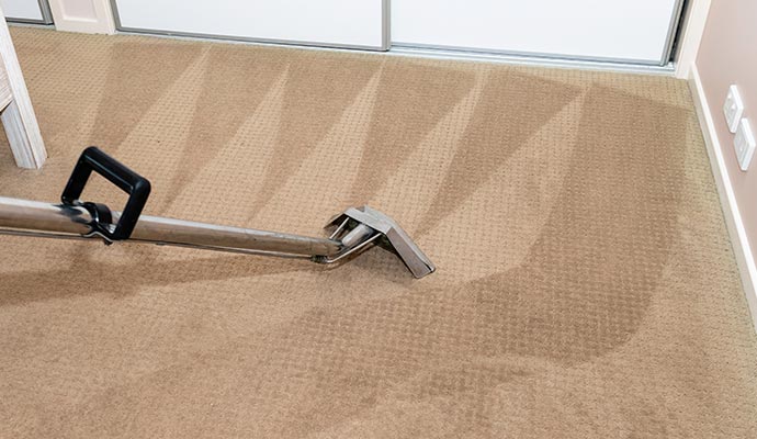 Professional carpet cleaning with equipment