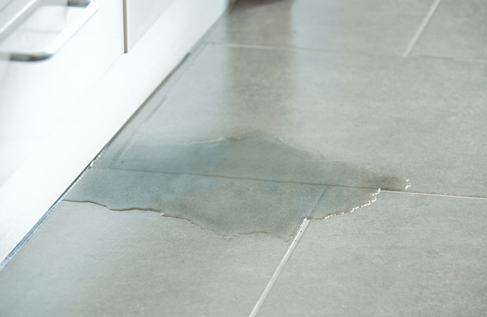 Your Ultimate Resource: Catching a Slab Leak Early is Critical
