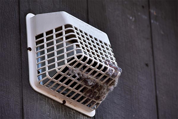 Dryer Vent