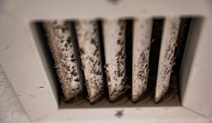 HVAC Mold Remediation in Temecula & Riverside, CA