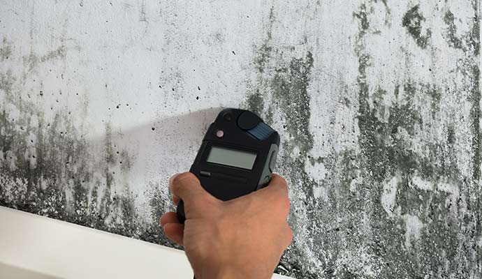 Mold Testing & Inspection in Temecula & Riverside, CA