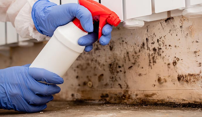 Person working on mold remediation.