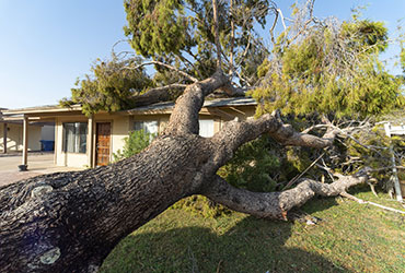 Storm Damage