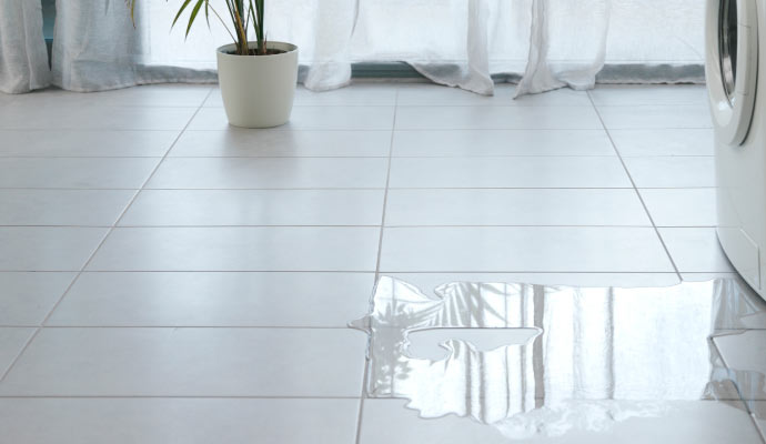 Tips to Prevent Water Damage from Appliance Leaks 