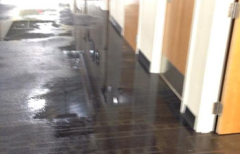 Carpet Water Damage Restoration in Temecula & Riverside, CA