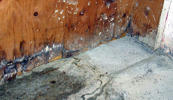 structural water damaged basement