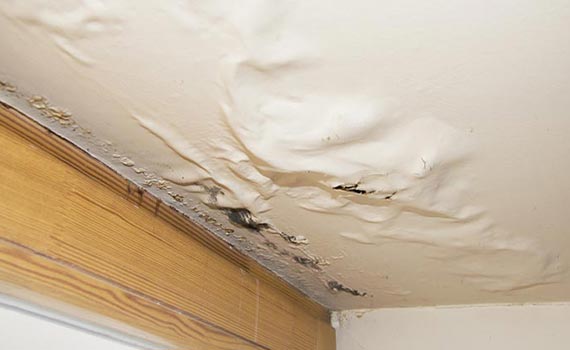 Water damaged ceiling