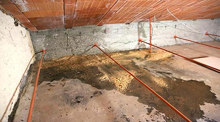 Water damaged attic