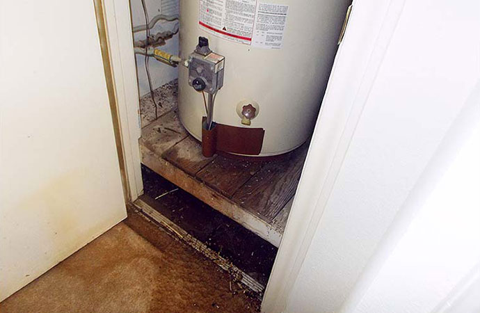Water Heater Leaks